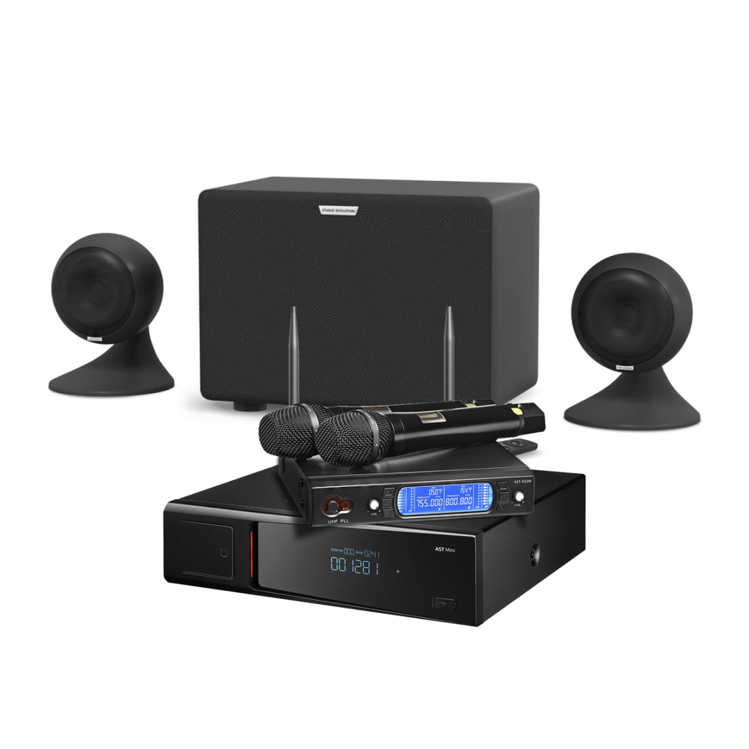 караоке-комплект AST Mini Sound Sphere в Чайковском