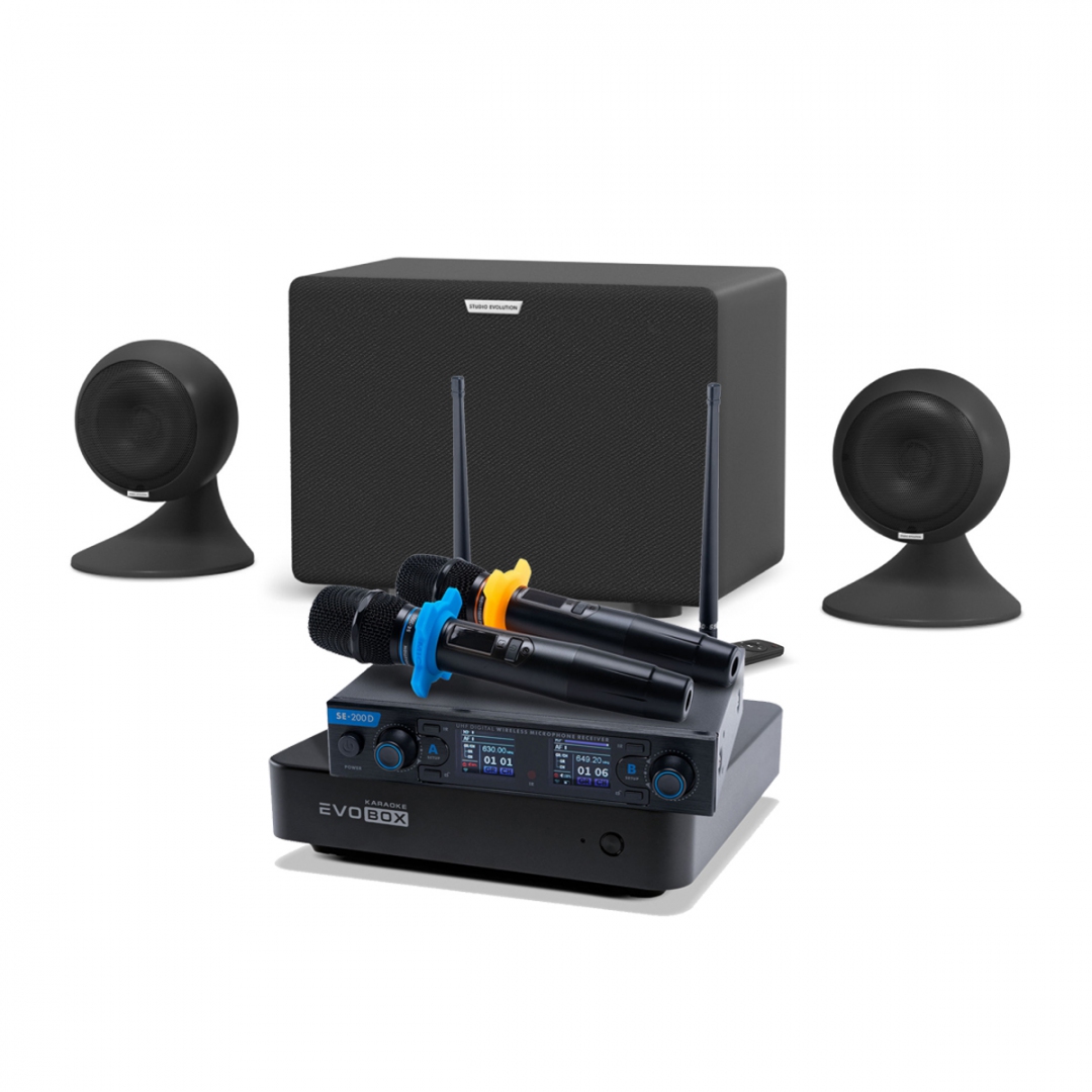 караоке-комплект EVOBOX + EvoSound Sphere 2.1 в Чайковском