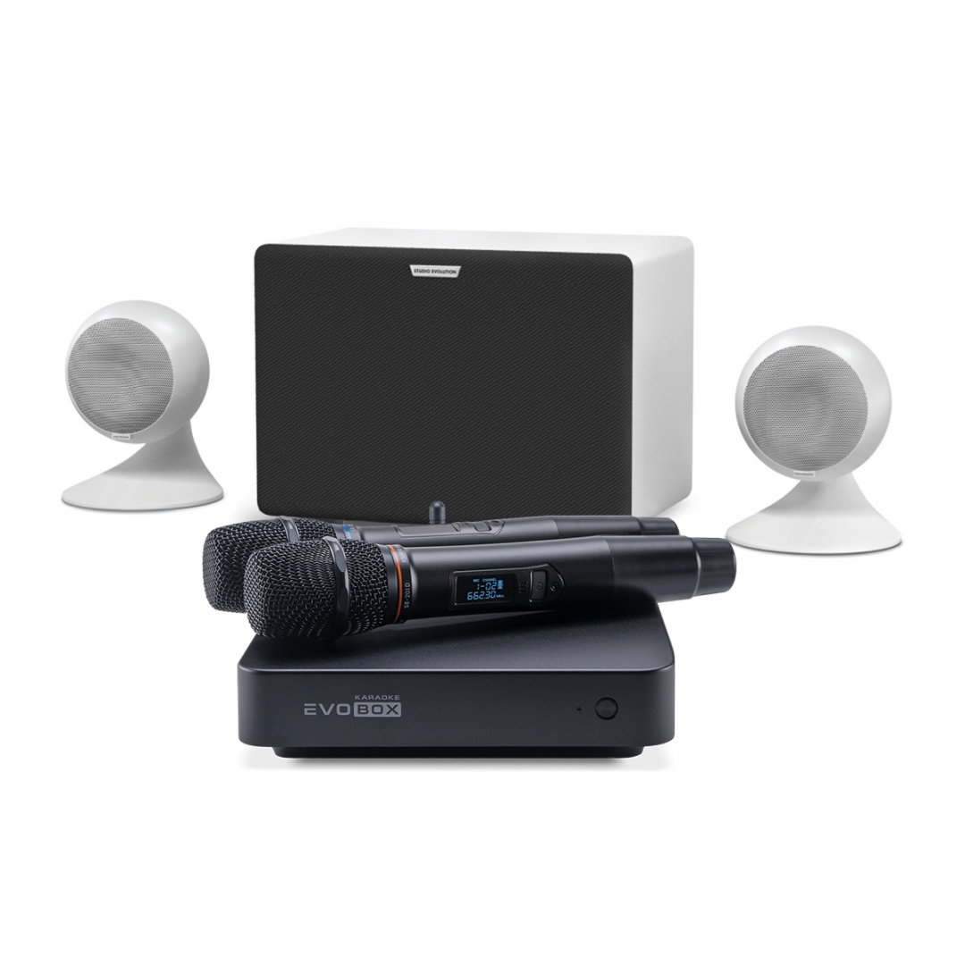 караоке-комплект EVOBOX Classic + EvoSound Sphere 2.1 в Чайковском