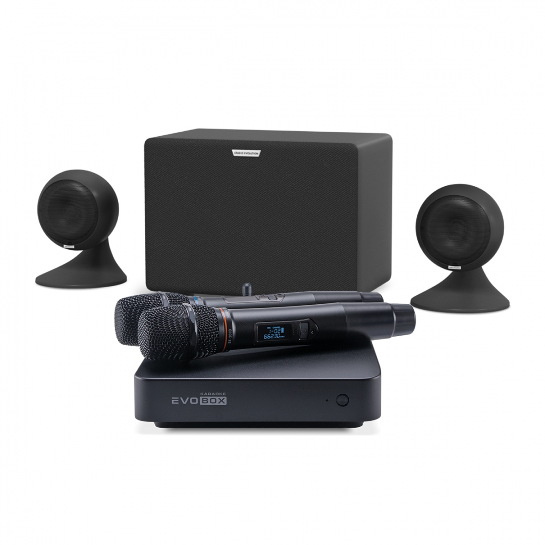 караоке-комплект EVOBOX Plus + EvoSound Sphere 2.1 в Чайковском