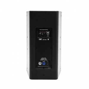 Активная акустическая система AST-310A в Чайковском