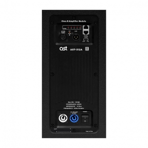 Активная акустическая система AST-312A в Чайковском