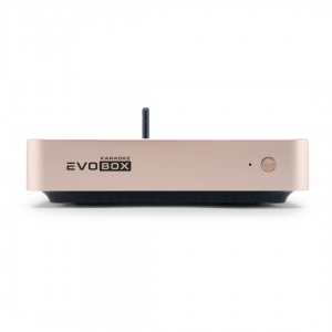 EVOBOX Plus караоке-система для дома в Чайковском