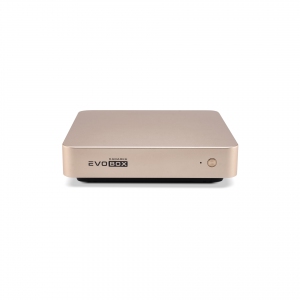 EVOBOX с микрофонами в Чайковском